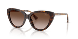 Dark Havana / Brown Gradient