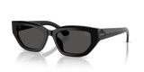 Black / Dark Grey