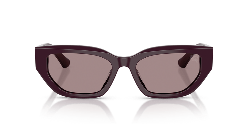 Burberry BE4463D in Violet - Temple Detail