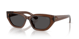Brown / Dark Grey