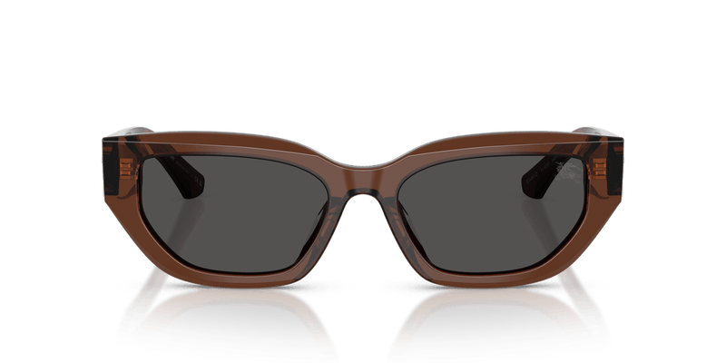 Burberry BE4463D in Brown / Dark Grey - Temple Detail