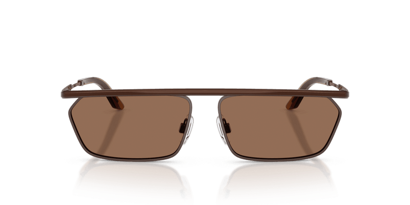 Dolce & Gabbana DG2327 in Brown/Matte Brown / Dark Brown (133673) - Alternate View