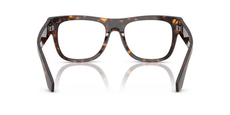 Dolce & Gabbana DG3407 in Havana / Demo Lens - Alternate View
