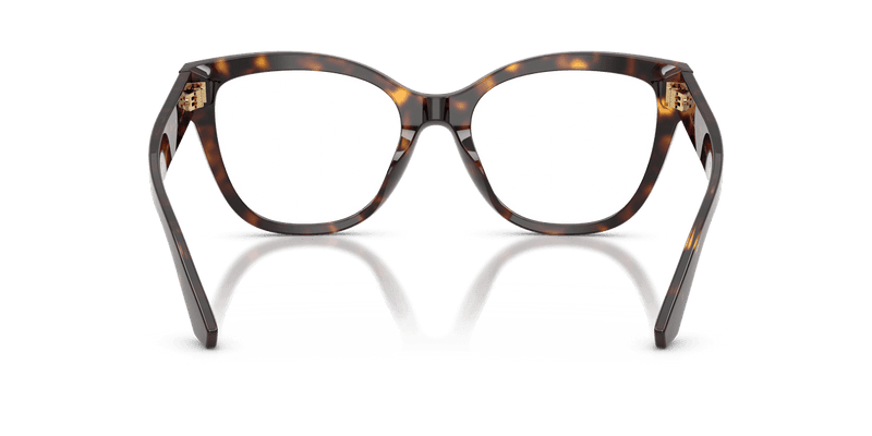 Dolce & Gabbana DG3418 in Havana / Demo Lens - Alternate View