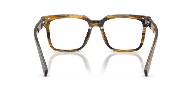 Dolce & Gabbana DG3422 in Striped Brown / Demo Lens - Back View