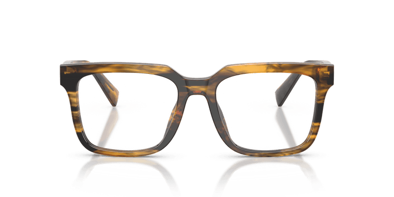 Dolce & Gabbana DG3422 in Striped Brown / Demo Lens - Temple Detail