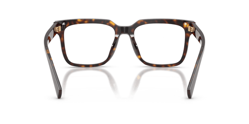 Dolce & Gabbana DG3422 in Havana / Demo Lens - Alternate View