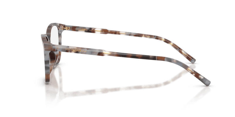 Dolce & Gabbana DG3424 in Havana Grey (3445) - Alternate View