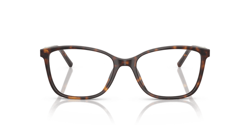Dolce & Gabbana DG3424 in Havana (502) - Alternate View