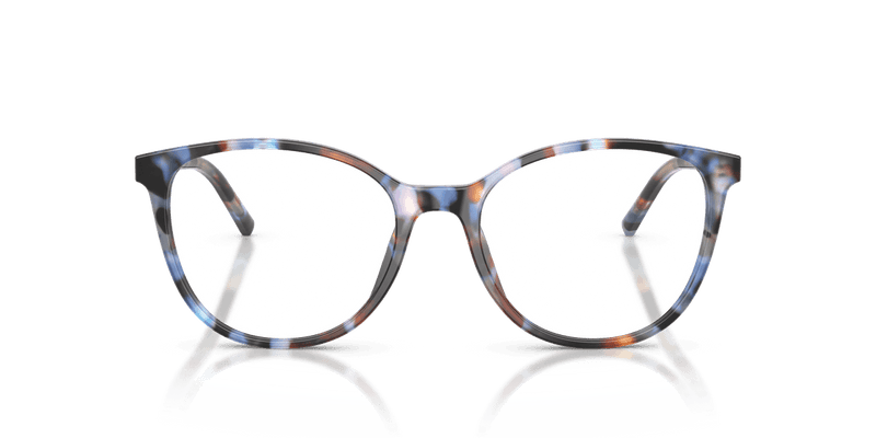 Dolce & Gabbana DG3425 in Havana Blue (3443) - Back View