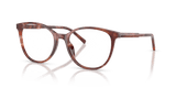 Havana Brown (3444)