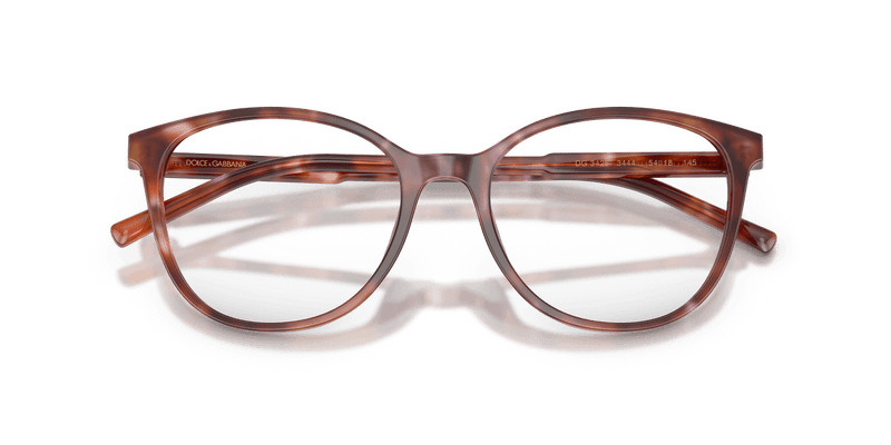 Dolce & Gabbana DG3425 in Havana Brown (3444) - Alternate View