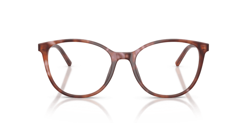Dolce & Gabbana DG3425 in Havana Brown (3444) - Alternate View