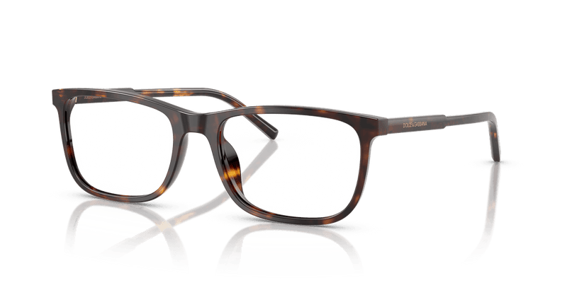 Dolce & Gabbana DG3427 in Havana / Demo Lens - Alternate View