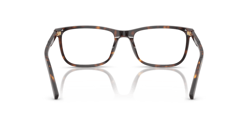 Dolce & Gabbana DG3427 in Havana / Demo Lens - Alternate View