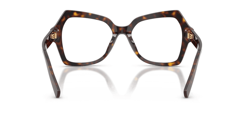 Dolce & Gabbana DG3429 in Havana / Demo Lens - Alternate View