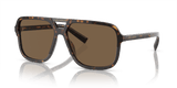 Havana / Brown Gradient Dark Brown