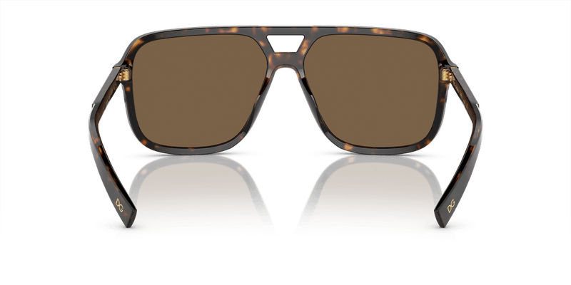 Dolce & Gabbana DG4354 in Havana / Brown Gradient Dark Brown - Alternate View