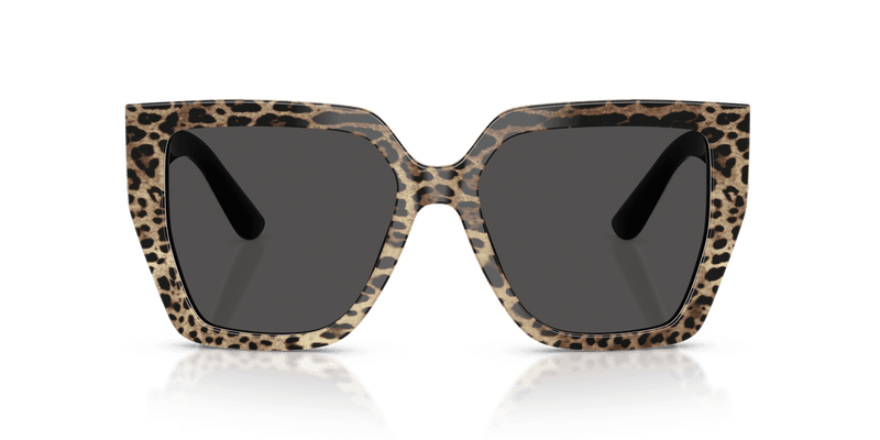 Dolce & Gabbana DG4438 in Leo Brown On Black / Dark Grey (316387) - Back View