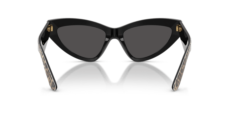 Dolce & Gabbana DG4439 in Leo Brown On Black / Dark Grey - Back View