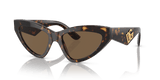 Havana / Dark Brown