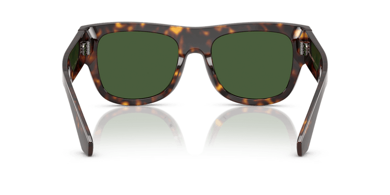Dolce & Gabbana DG4484 in Havana / Dark Green - Alternate View