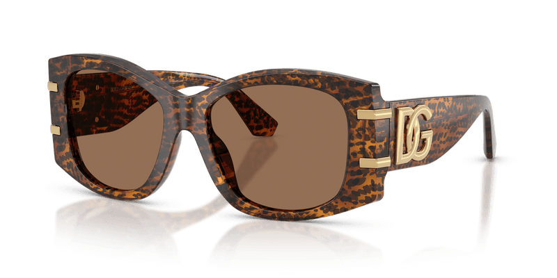 Dolce & Gabbana DG4501 in Leo Transparent / Dark Brown (347073) - Front View