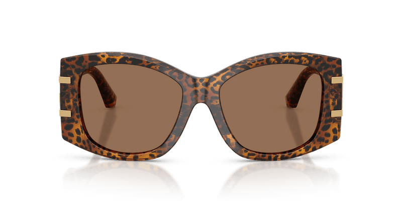 Dolce & Gabbana DG4501 in Leo Transparent / Dark Brown (347073) - Back View