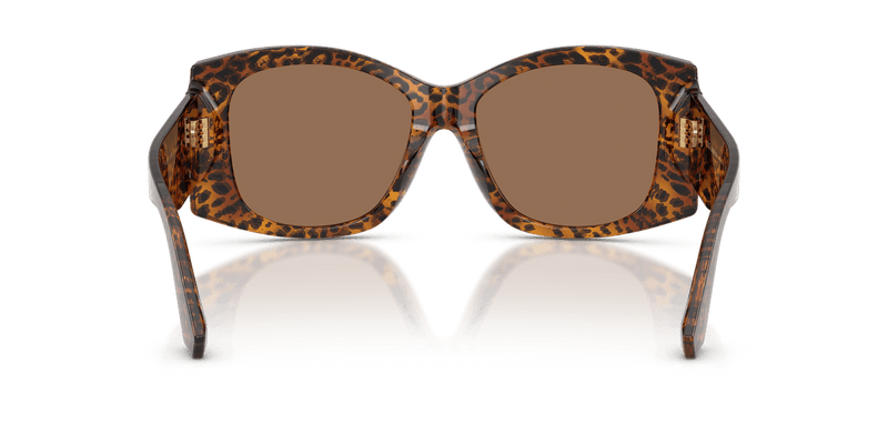 Dolce & Gabbana DG4501 in Leo Transparent / Dark Brown (347073) - Alternate View