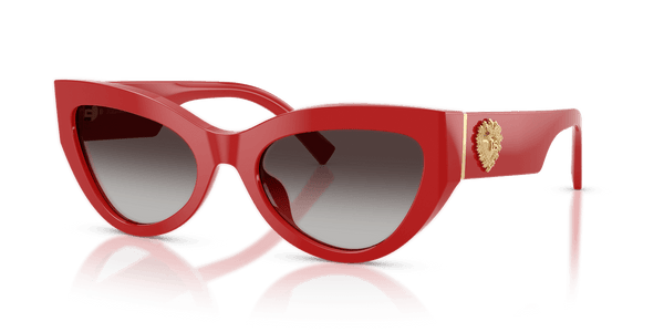 Dolce & Gabbana DG4536