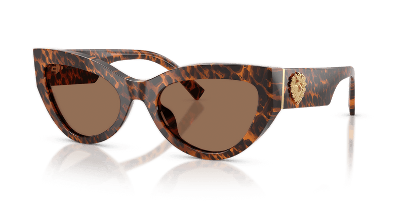 Dolce & Gabbana DG4536 in Leo Transparent / Dark Brown (347073) - Alternate View