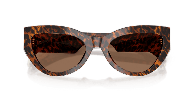 Dolce & Gabbana DG4536 in Leo Transparent / Dark Brown (347073) - Alternate View