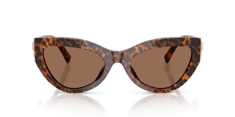 Dolce & Gabbana DG4536 in Leo Transparent / Dark Brown (347073) - Alternate View