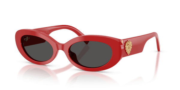 Dolce & Gabbana DG4537
