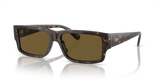 Shiny Dark Havana / Solid Brown