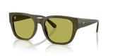 Solid Green / Light Green