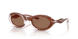 Crystal/Varnish Brown / Dark Brown (203373)