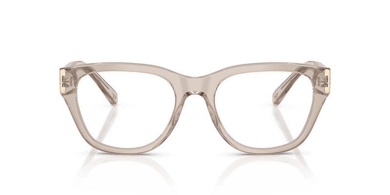 Diesel DL4001 in Transparent Taupe (2007) - Alternate View
