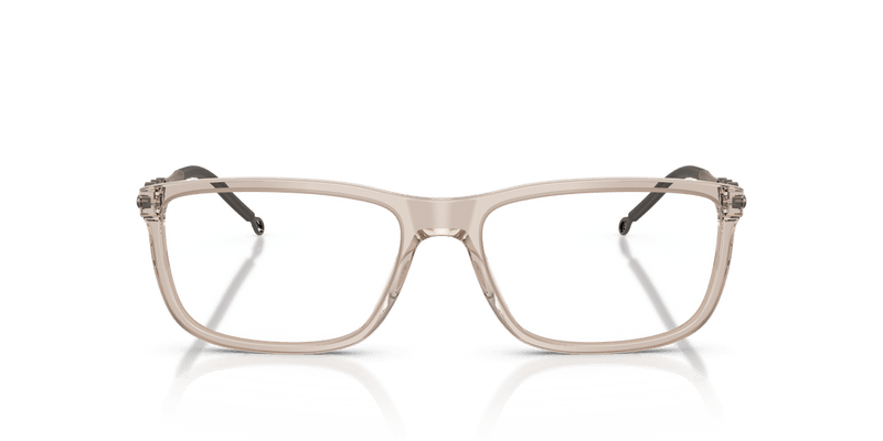 Diesel DL4006 in Transparent Taupe / Demo Lens - Temple Detail
