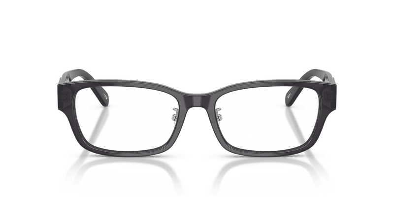 Diesel DL4010D in Transparent Dark Violet (2027) - Alternate View