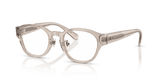 Transparent Taupe (2007)