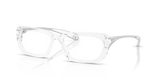 Transparent Crystal (2005)