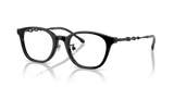 Shiny Black (2001)