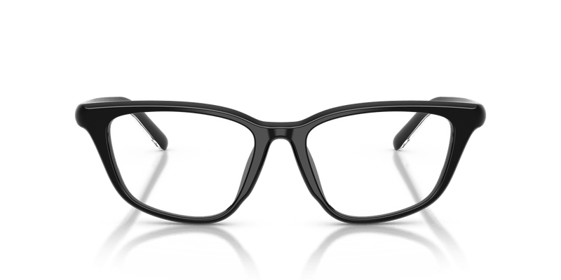 Diesel DL4016F in Solid Black / Demo Lens - Temple Detail
