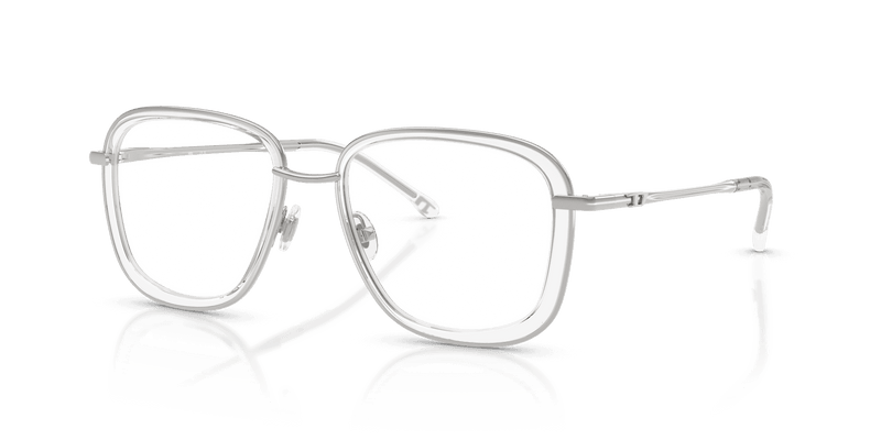 Diesel DL5009 in Shiny Silver (1001) - Alternate View