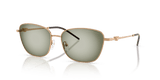 Metal Brown / Green Gradient Green (342713)