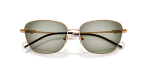 Metal Brown / Green Gradient Green (342713)