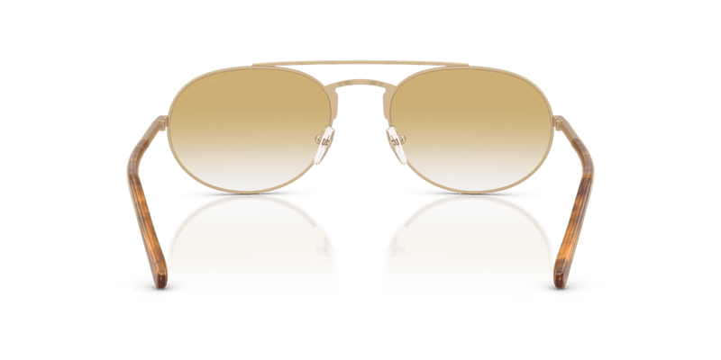 Emporio Armani EA2171 in Matte Pale Gold - Alternate View