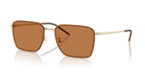 Shiny Pale Gold / Brown (301373)