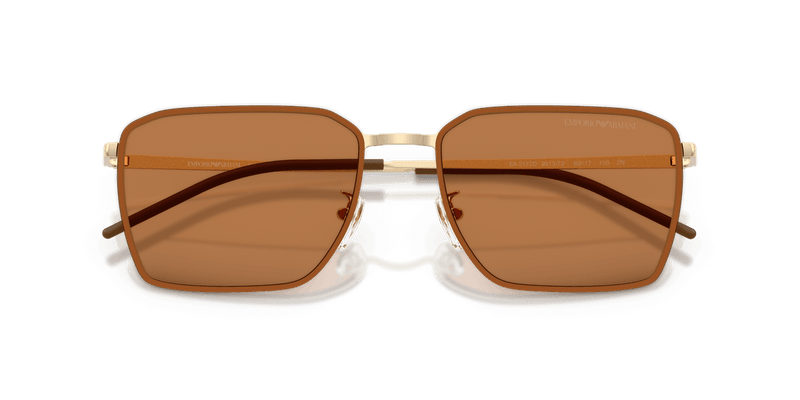 Emporio Armani EA2172D in Shiny Pale Gold / Brown (301373) - Alternate View